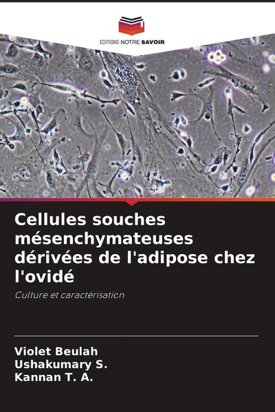 Violet Beulah (U. A.) | Cellules Souches MéSenchymateuses DéRivéEs De...-image