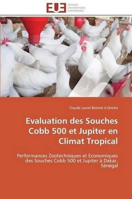 Evaluation des souches cobb 500 et jupiter en climat tropical: Performances Zoot