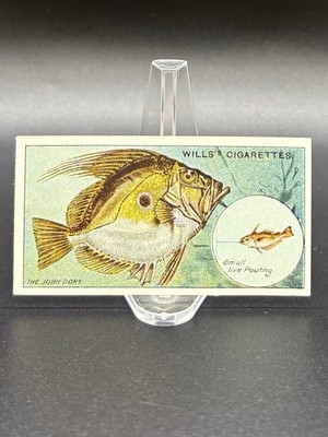 1910 Wills s Cigarettes Fish & Bait Card #37 The John Dory   Series of 50
