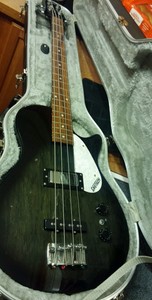 short scale bass hard case