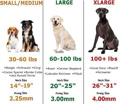 Ultra-Plus Pet Acciaio Inox Prong Dog Addestramento Collare Pinch Sgancio Rapido - Foto 6 di 30