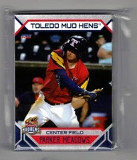 2023 TOLEDO MUDHENS TEAM SET 30 CARDS NEW COMPLETE