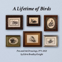 A Lifetime Of Birds | Taschenbuch | Englisch (2025) | [.]