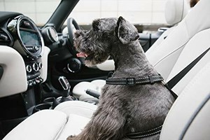 k&h pet products travel safety carrier