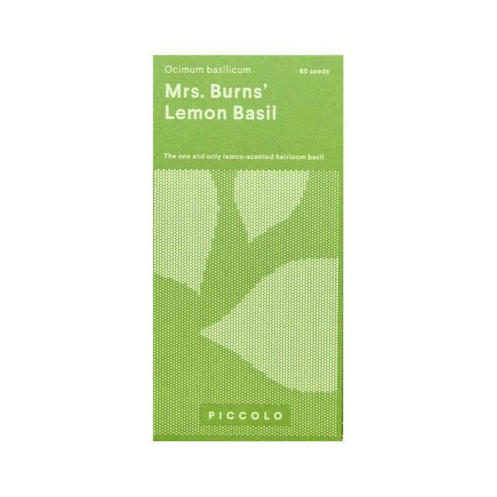 Piccolo Seeds Urban Growing 100% GMO Free Easy Grown Mrs. Burns Lemon Basil