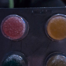 Mushroom Gummies for Adults