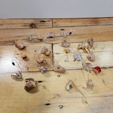 Lot Of Hearing Aids Molds ReSound, Phonak And Others 21 Pieces UNTESTED 