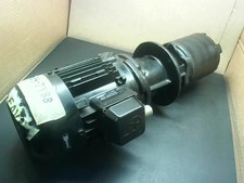 Brinkmann Pumps ZS090090 MK250 Immersion Pump 2.3 HP 230/460V 8.2/4.1A 50/60Hz S