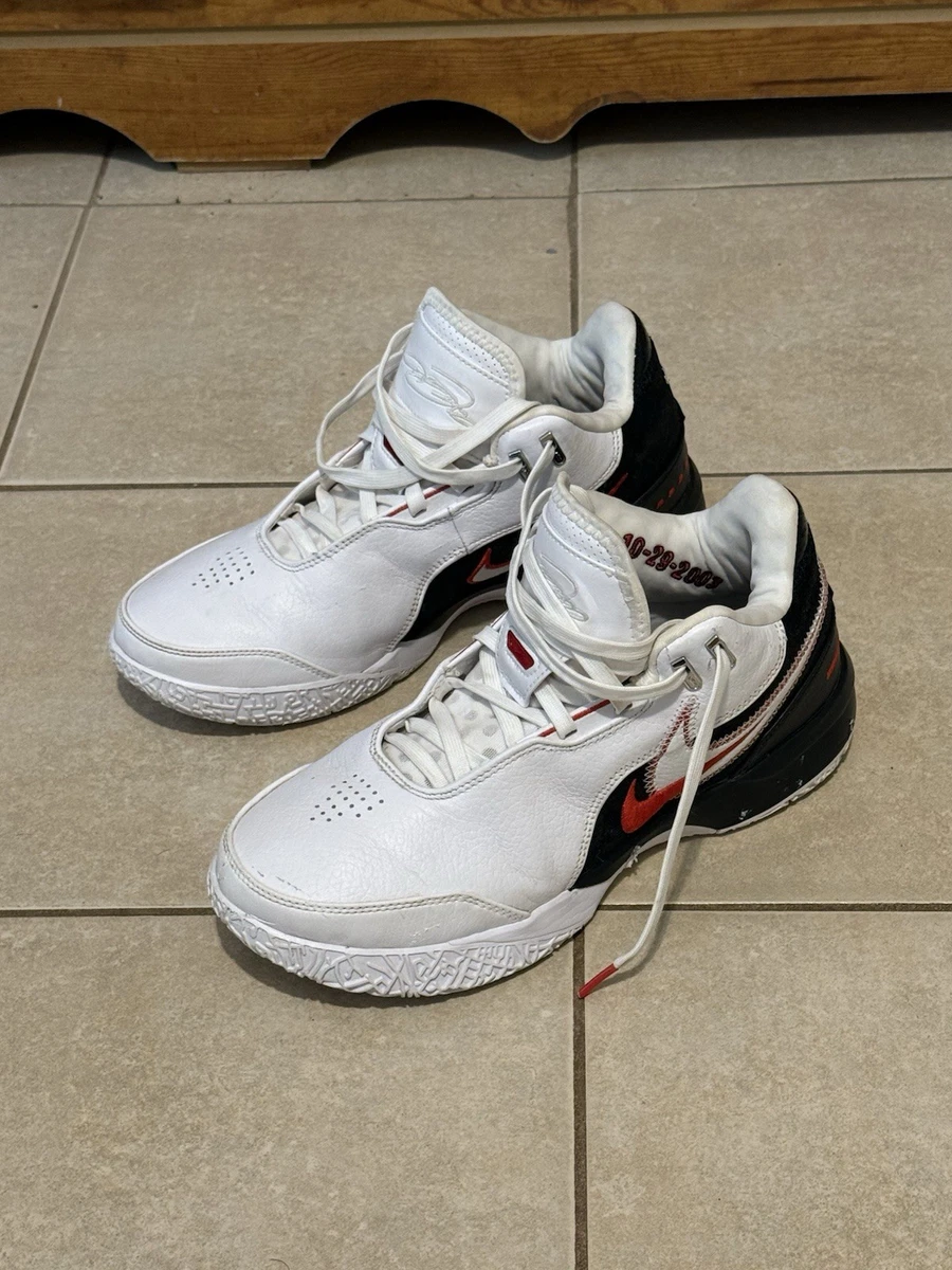 Nike Zoom LeBron NXXT Gen AMPD EP White Metallic Silver for Sale