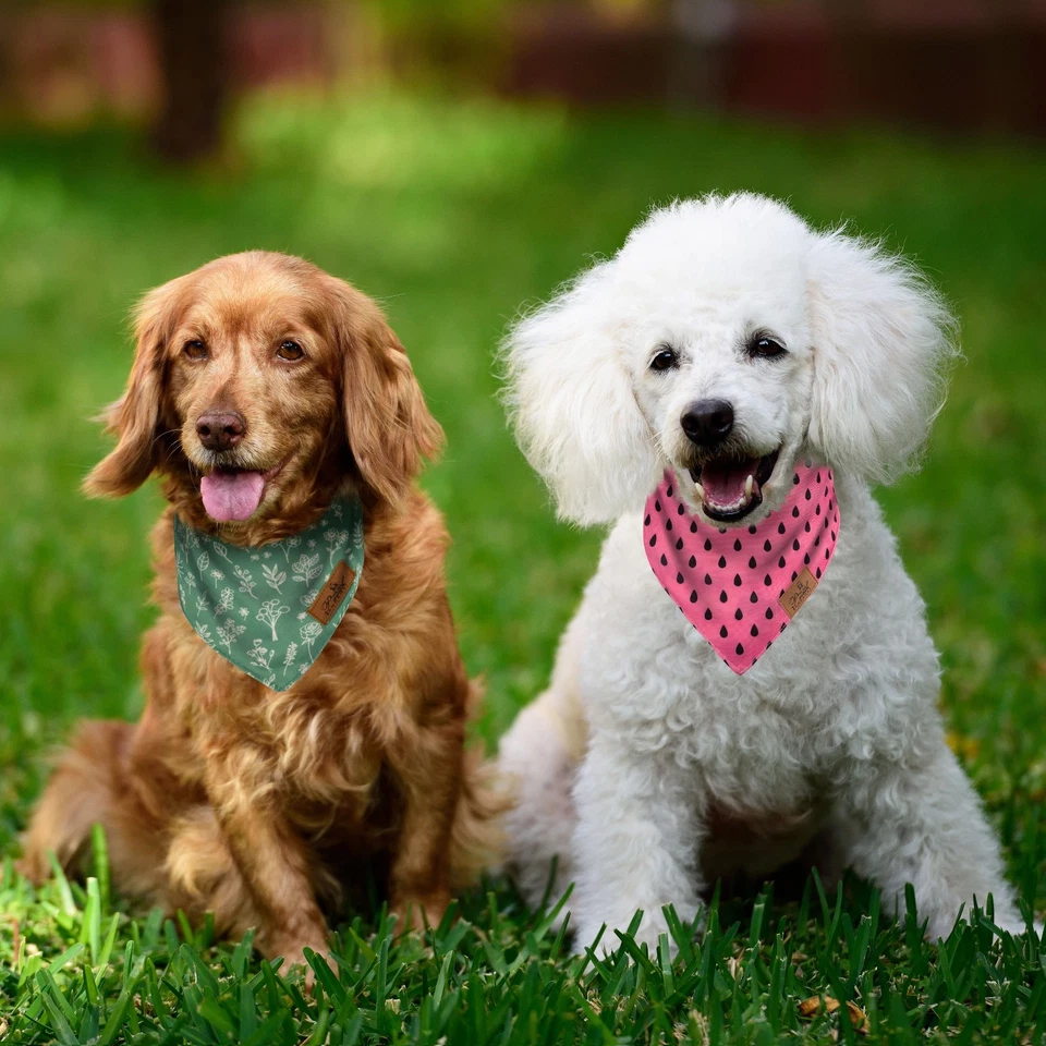 Lot 125 Luxury Grooming Dog Bandanas Washable Pet Scarf Free Shipping Wholesale - Image 4 of 4