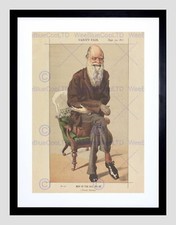 85164 DRAWING CHARLES DARWIN VANITY FAIR SELECTION Decor Wall Print Poster