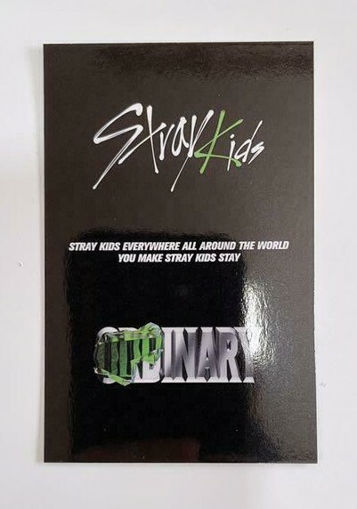 straykids oodinary 限定盤 未開封 Stray Kids｜独自の世界観に期待！待望の韓国ニューミニアルバム