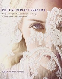 Picture Perfect Practice: A Self-Training Guide to Maste... | Buch | Zustand gut