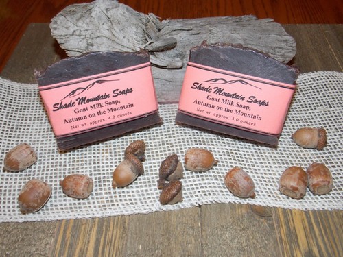 Goat Milk Soap Homemade / Handmade Moisturizing - 4 oz Autumn on the Mountain - Picture 3 of 7