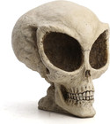 Alien Skull 8 1/8 Inch Area 51 Roswell Ufo Resin Sculpture