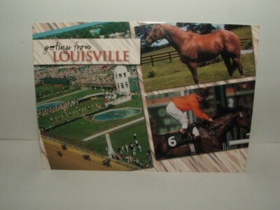 VINTAGE SECRETARIAT POSTCARD KENTUCKY DERBY LOUISVILLE BGS-334 CLAIBORNE FARM