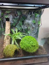 Wasserfall-Gro&szlig; f&uuml;r Terrarien inklusive Pumpe und Vernebler