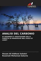Hosam Ali Aldhawi Ashokri (U. A.) | Analisi Del Carbonio | Taschenbuch (2022)