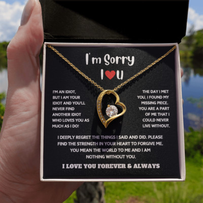 I am Sorry apology forgiveness Pendant Necklace gift for her Heartfelt Message