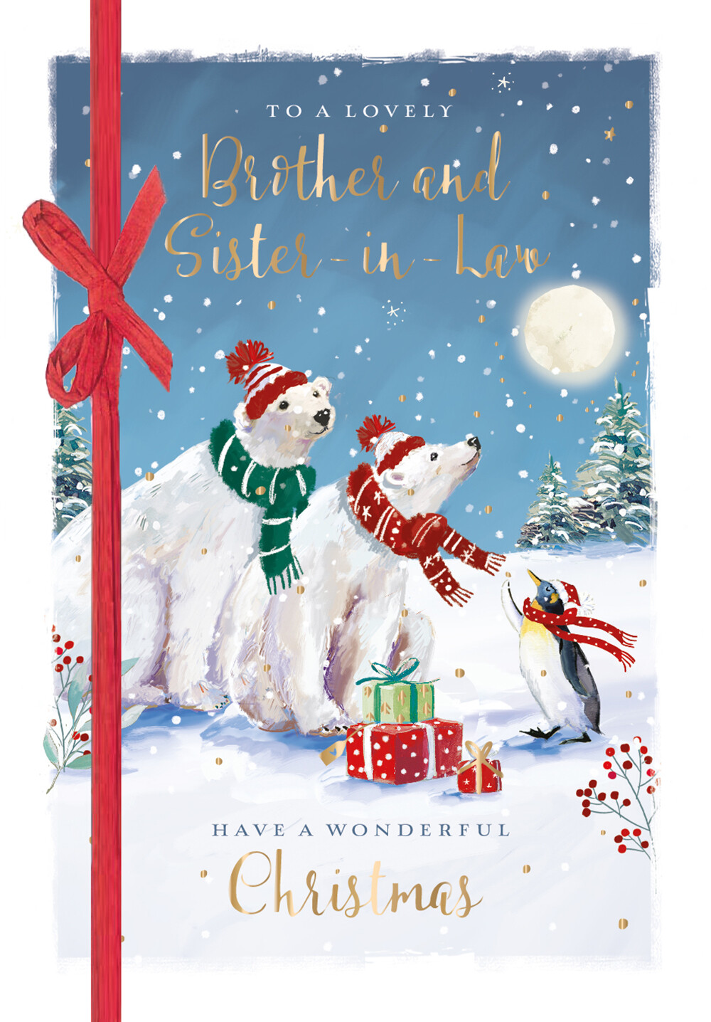 The Wildlife A Lovely Brother & Sister-In Law Christmas Card Xmas Greeting Cards