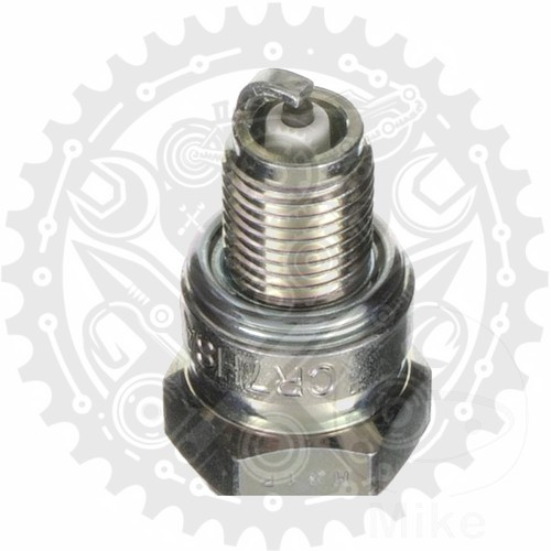 Neue Zündkerze NGK passend für Rex RS 500 50 2006-2014 - Bild 2 von 6