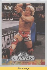 2023 Upper Deck AEW All Elite Wrestling UD Canvas Jeff Jarrett #C6 READ 19qt