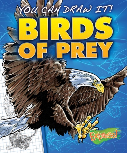 Birds of Prey by Jon Eppard 9781626170964 NEW Free UK Delivery - Image 4