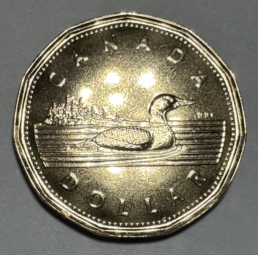 1952-2002 UNC Royal Canadian Mint $1 Loonie from Set. Golden