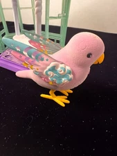 little live pets bird