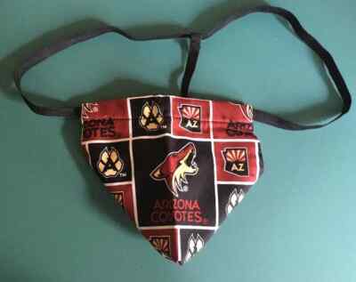 Mens ARIZONA COYOTES Nhl Hockey Gstring Thong Male Underwear
