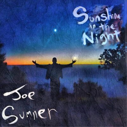 Joe Sumner Sunshine in the Night (Vinyl LP) 12" Album