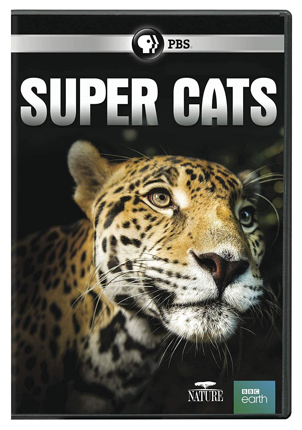 Nature: Super Cats DVD (DVD)