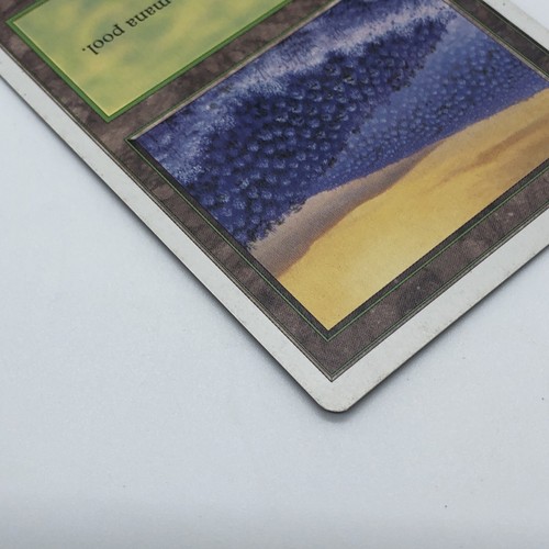 Magic The gathering Forest Fifth Edition Land Illustrator David O’Connor 1997 - Picture 5 of 14