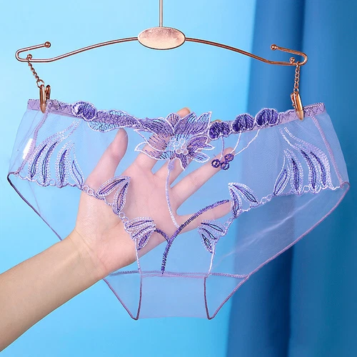 Womens Sexy Underwear See Through Lingerie Mesh Briefs Lace Panties Knickers🎀 - Picture 20 of 30