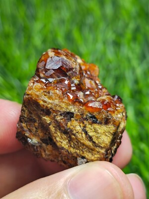 30.60 Gram Garnet Cluster Specimen From Pakistan