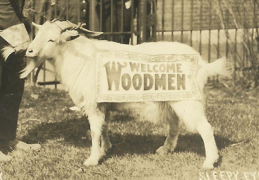 Sleepy Eye MINNESOTA RP 1917 M.W.A. GOAT Modern Woodman nr Neu