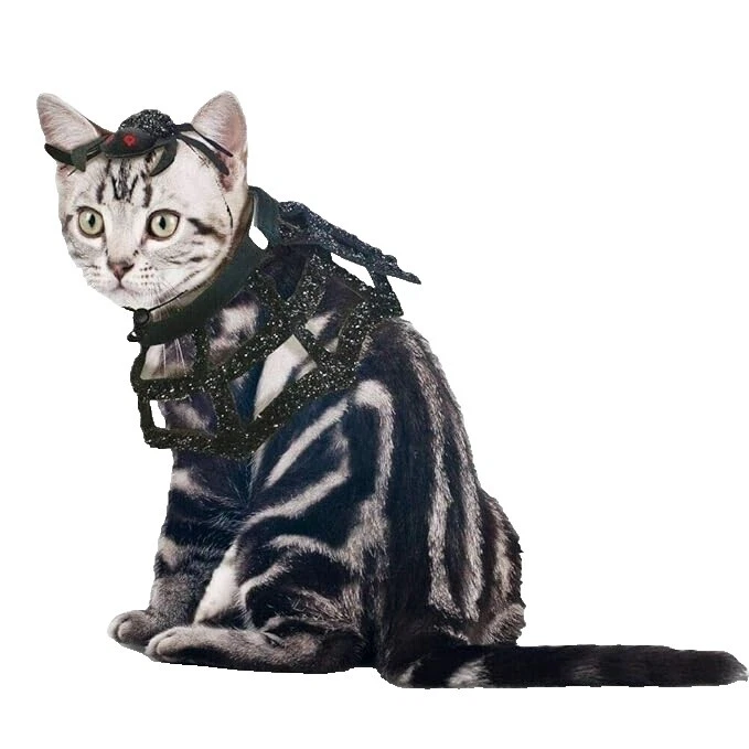 Gato de poliéster disfraces de animales y naturaleza