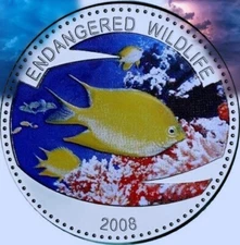 Palau 1 Dollar 2008 PP Zitronendamselfisch   6995#❇️❇️