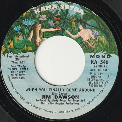 Jim Dawson - When You Finally Come Around - Used Vinyl Record - Promo - G8100z