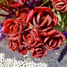 Rare Echeveria ‘Sunyan’ Succulent – Live Succulent Plant, Colorful Rosette