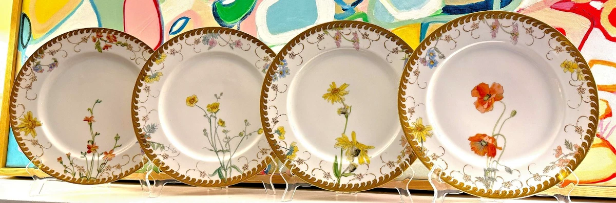 Pirkenhammer Plate In Antique Ceramic & Porcelain Plates