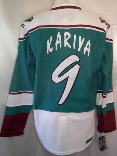 Paul Kariya Anaheim Mighty Ducks "1995-96 Wild Wing Throwback" CCM NHL Jersey - Picture 2 of 2