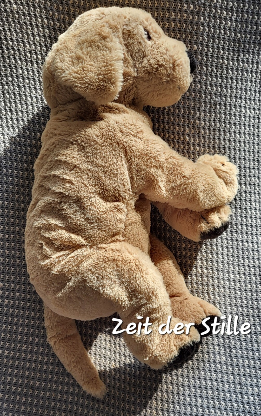 Bild 1 von 5