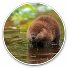 2 x Vinyl Stickers 30cm - North American Beaver Kit Baby Cool Gift #15569