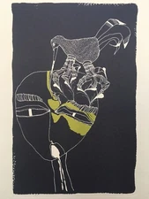 Beautiful lithograph engraving XX Bird Face Portrait Curiosities Curiosities