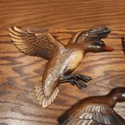 Picture 8 of 20