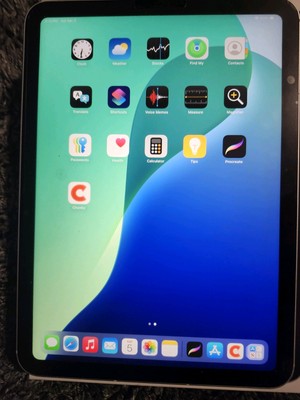 Ipad (10th Generation) Wifi + Cellular  