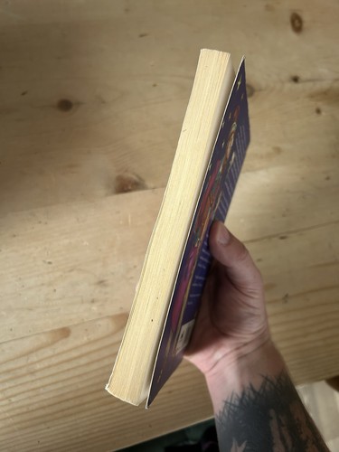 Early Harry Potter & The Philosophers Stone Paperback Book, Young Wizard 1997 - Foto 6 di 7