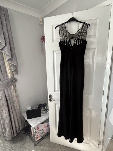 Evening Dress-Absolutely Stunning - Bargain At Half Its Price -spare studs too😀 - Picture 2 of 8