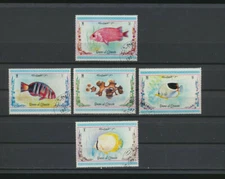Fish Colorful  Tropical Fish Set of Five from Umm Al Qiwain